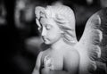 Young angel statue in a London cemetery looks down while praying