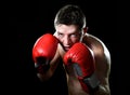 Young angry fighter man boxing with red fighting gloves in boxer stance Royalty Free Stock Photo