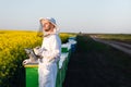 Young apiarist looking at the Sun Royalty Free Stock Photo