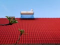 Young apple leaves on focus, solar water heater boiler on rooftop on the blured background