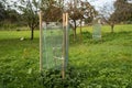 Young apple trees protected by protective fence