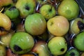 The first juicy small green apples with red, yellow, dark spots float in clear water. Royalty Free Stock Photo