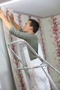 Young apprentice installing wallpaper Royalty Free Stock Photo