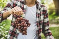 Young Asia man farmer hand holding grapes after harvest form vineyard, healthy fruit concept Royalty Free Stock Photo