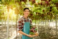 Young Asia man farmer holding grapes after harvest form vineyard, healthy fruit concept Royalty Free Stock Photo