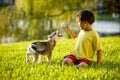 Young Asian boy playing with puppy on grass Royalty Free Stock Photo