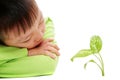 Young asian boy watching green plants grow Royalty Free Stock Photo