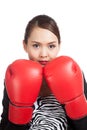 Young Asian business woman with red boxing gloves Royalty Free Stock Photo