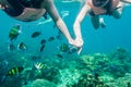 Young asian couple holding hands snorkeling with school of fish in tropical sea Royalty Free Stock Photo