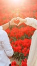 Young Asian couple stand in a bright red flower garden and put their hands together in heart to symbolize love, friendship and Royalty Free Stock Photo