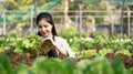 Young Asian farmer pretty girl working in vegetables hydroponic farm with happiness. She is looking and using hands Royalty Free Stock Photo