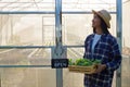 A young Asian female farmer stands holding a wooden tray filled with organic vegetables welcomes customers in front of the Royalty Free Stock Photo