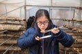 Young Asian female teenager eating grilled Shitake mushroom at a Royalty Free Stock Photo