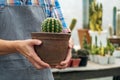 Young Asian gardener with grey apron holding selected cactus