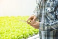 Young Asian gardener man using tablet and checking his plant or green lettuce vegetable in greenhouse organic farm.Small business Royalty Free Stock Photo