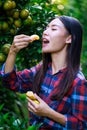 Young asian girl eating tangerine lusciously in her orchard Royalty Free Stock Photo