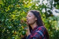 Young asian girl owner tangerine garden checking quality product and Grab a tangerine and smell it in her garden