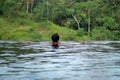 Young Asian Girl swimming in the infinity pool with beautiful view. She is taken photos from the back Royalty Free Stock Photo