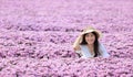 Young Asian lady in white dress sitting in the pink chrysanthemum flower field meadow in the countryside Royalty Free Stock Photo