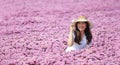 Young Asian lady in white dress sitting in the pink flower field meadow in the countryside during summer Royalty Free Stock Photo