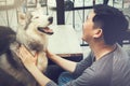 Young Asian male dog owner playing and touching the happy Husky Siberian dog pet with love and care