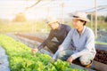 Young asian man farmer shovel dig fresh organic vegetable garden in the farm Royalty Free Stock Photo