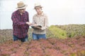 Young asian man scientist check the quality control of the agriculture food with asian woman farmer in greenhouse organic nursery Royalty Free Stock Photo