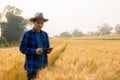 A young Asian man stands in a field of beautiful golden ripe wheat at sunset. Using smartphones and laptops, digital tablets Royalty Free Stock Photo