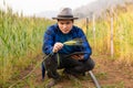 A young Asian man stands in a field of beautiful golden ripe wheat at sunset. Using smartphones and laptops, digital tablets Royalty Free Stock Photo