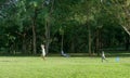 Young mother and son start kite on green meadow at summer day