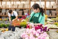Young asian salesgirl preparing potted blooming matthiola for sale