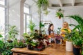 Young asian saleswoman in apron talking with female customer in the flower shop. Royalty Free Stock Photo