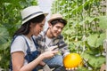 Young asian smart farmers and entrepreneurs in garden, happy and smiling, tablet checking quality, recording science analyzing