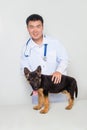 Asian vet in a white coat with a stethoscope on his neck examines a German shepherd puppy on a table in a veterinary clinic. Royalty Free Stock Photo