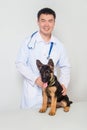 Asian vet in a white coat with a stethoscope on his neck examines a German shepherd puppy on a table in a veterinary clinic. Royalty Free Stock Photo