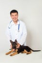 Asian vet in a white coat with a stethoscope on his neck examines a German shepherd puppy on a table in a veterinary clinic. Royalty Free Stock Photo