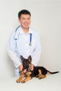 Asian vet in a white coat with a stethoscope on his neck examines a German shepherd puppy on a table in a veterinary clinic. Royalty Free Stock Photo