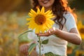 Young Asian woman with curly hair in a field of sunflowers at sunset. Portrait of a young beautiful asian woman in the sun Royalty Free Stock Photo