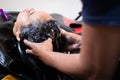 Young asian woman getting a hair wash by hairdresser at hair salon. Royalty Free Stock Photo