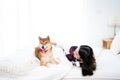 A young Asian woman lounging with a Shiba inu dog on a white bed Royalty Free Stock Photo