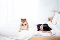 A young Asian woman lounging with a Shiba inu dog on a white bed