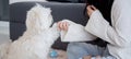 Young asian woman playful with fluffy dog shih tzu for relax with love in the living room at home.