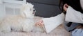 Young asian woman playful with fluffy dog shih tzu for relax with love in the living room at home.