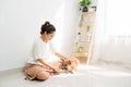 Young Asian woman playing with her dog at home Royalty Free Stock Photo