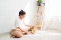 Young Asian woman playing with her dog at home Royalty Free Stock Photo