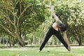 Young asian woman practicing yoga outdoors in morning park. Concept of healthy lifestyle Royalty Free Stock Photo