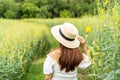 Young asian woman relaxing and enjoying in the flower field while traveling Royalty Free Stock Photo