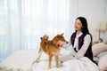 Young Asian woman sitting and persecute Brown Shiba inu dog on white bed