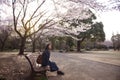 Spring festival cherry blossom in Tokyo, Japan. Royalty Free Stock Photo