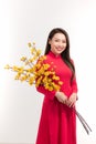 Young Asian woman in traditional aodai dress holding Hoa Mai tree Ochna Integerrima flower, smiling, celebrating Lunar New Year